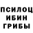 Псилоцибиновые грибы ЛСД Dave Trombetti