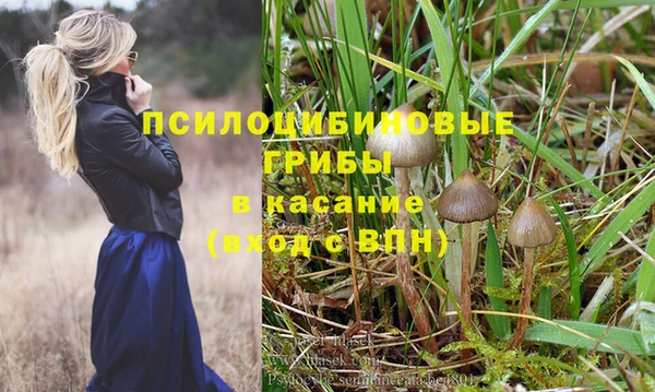 ГАЛЛЮЦИНОГЕННЫЕ ГРИБЫ Нягань