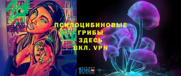 эйфоретик Новодвинск